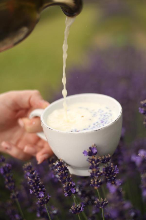 Lavender Valley Perekrestnoye Esterno foto
