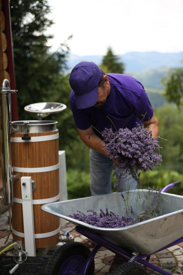 Lavender Valley Perekrestnoye Esterno foto